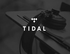 http://audiophilereview.com/images/tidal2a.jpg