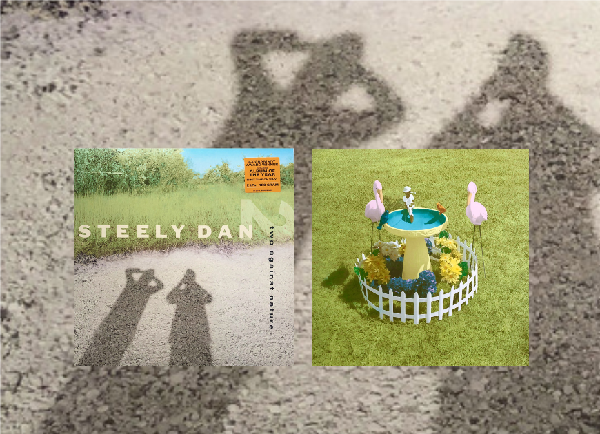 What Did I Realize When Listening To Steely Dan's New Record Store 